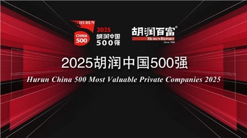 �ٵ�2025�����й�500ǿ���������ǲ��²�λ�е�336λ��һ�������ϰ�������������